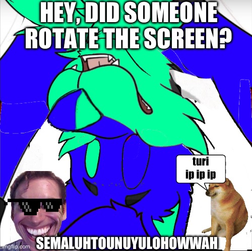 semaluhtounuyulohowwah | HEY, DID SOMEONE ROTATE THE SCREEN? turi ip ip ip; SEMALUHTOUNUYULOHOWWAH | image tagged in ohio,funny memes | made w/ Imgflip meme maker