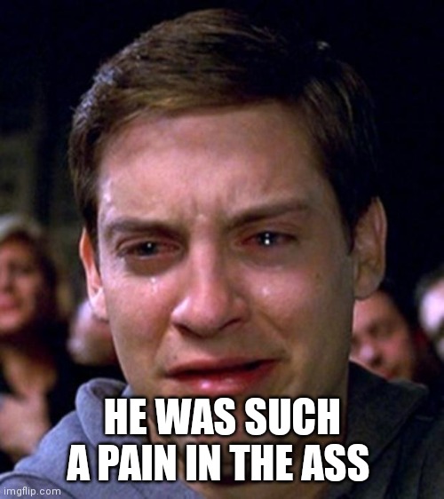 crying peter parker | HE WAS SUCH A PAIN IN THE ASS | image tagged in crying peter parker | made w/ Imgflip meme maker
