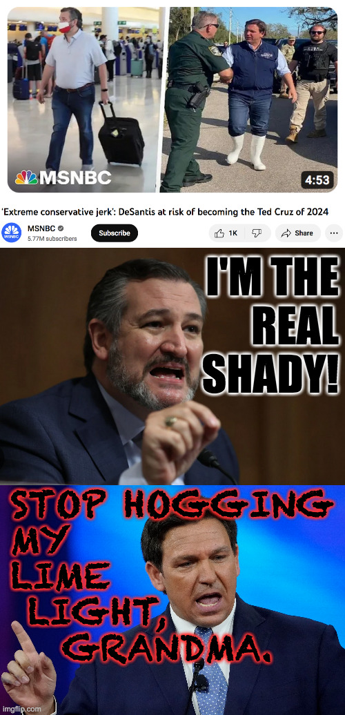 Republicans: Why can't they share? | I'M THE
REAL
SHADY! STOP HOGGING
MY
LIME
 LIGHT,
   GRANDMA. | image tagged in memes,republicans,attention hogs | made w/ Imgflip meme maker