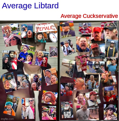 Apolitical Chads | Average Cuckservative; Average Libtard | image tagged in average fan vs average enjoyer | made w/ Imgflip meme maker