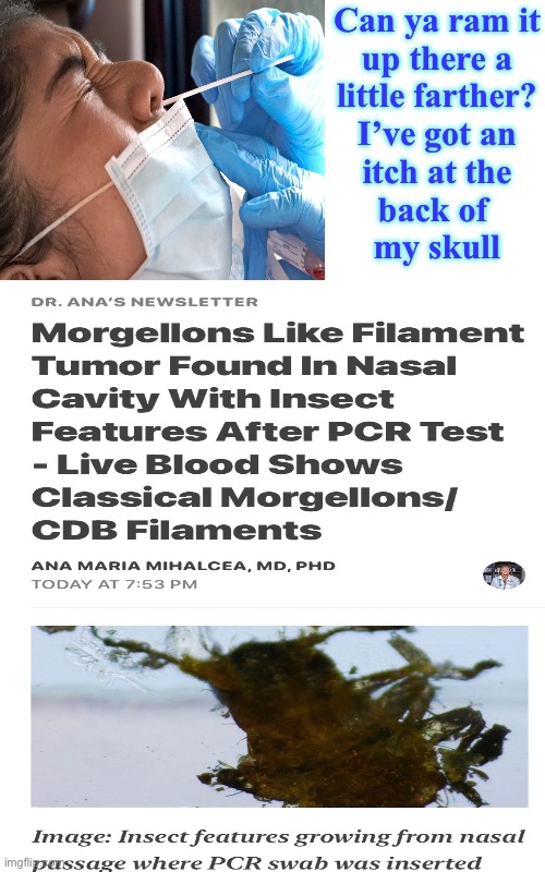 This is stuff out of the movie ALIENS | Can ya ram it
up there a
little farther?
I’ve got an
itch at the
back of 
my skull | image tagged in memes,welcome to the experiment,u will play the part of the crash test dummy,and ya gotta be dumb,or gullible,fjb voters | made w/ Imgflip meme maker