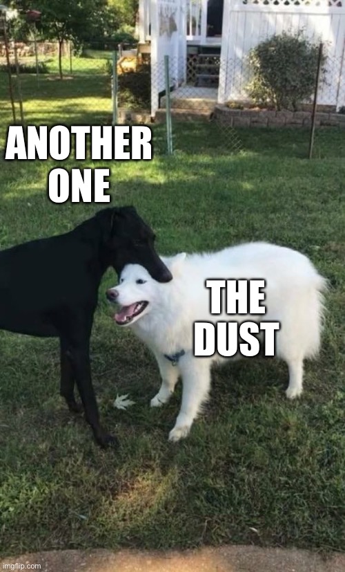 Dog Bite | ANOTHER ONE; THE DUST | image tagged in dog bite | made w/ Imgflip meme maker