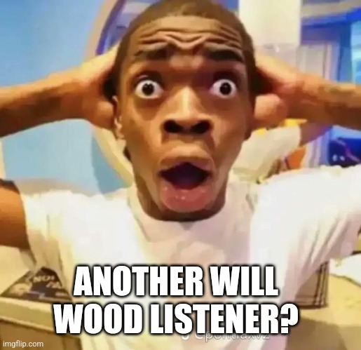 Shocked black guy | ANOTHER WILL WOOD LISTENER? | image tagged in shocked black guy | made w/ Imgflip meme maker