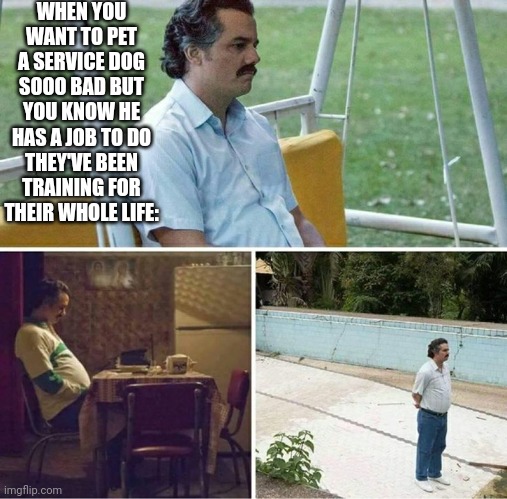 ?‍? | WHEN YOU WANT TO PET A SERVICE DOG SOOO BAD BUT YOU KNOW HE HAS A JOB TO DO THEY'VE BEEN TRAINING FOR THEIR WHOLE LIFE: | image tagged in forever alone,stay blobby | made w/ Imgflip meme maker