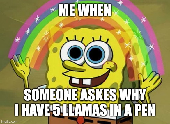 dont ask | ME WHEN; SOMEONE ASKES WHY I HAVE 5 LLAMAS IN A PEN | image tagged in memes,imagination spongebob | made w/ Imgflip meme maker