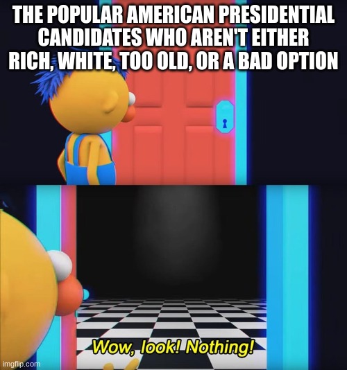 Wow, look! Nothing! | THE POPULAR AMERICAN PRESIDENTIAL CANDIDATES WHO AREN'T EITHER RICH, WHITE, TOO OLD, OR A BAD OPTION | image tagged in wow look nothing | made w/ Imgflip meme maker