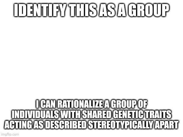 IDENTIFY THIS AS A GROUP; I CAN RATIONALIZE A GROUP OF INDIVIDUALS WITH SHARED GENETIC TRAITS ACTING AS DESCRIBED STEREOTYPICALLY APART | made w/ Imgflip meme maker