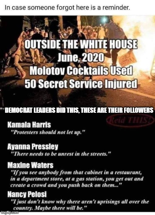 Democrat leaders did this, These are their followers,, | DEMOCRAT LEADERS DID THIS, THESE ARE THEIR FOLLOWERS | image tagged in kamala harris,democrats | made w/ Imgflip meme maker