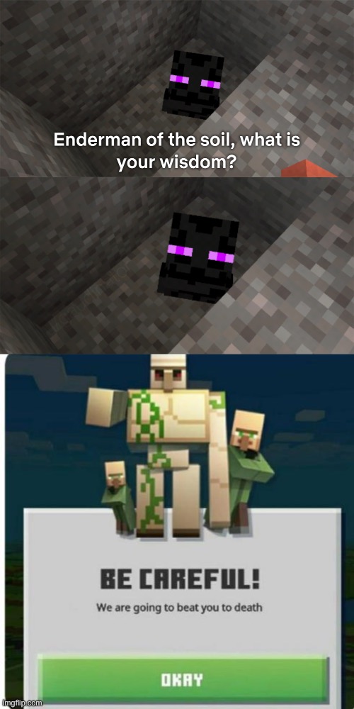 image tagged in enderman of the soil,be careful we are going to beat you to death | made w/ Imgflip meme maker