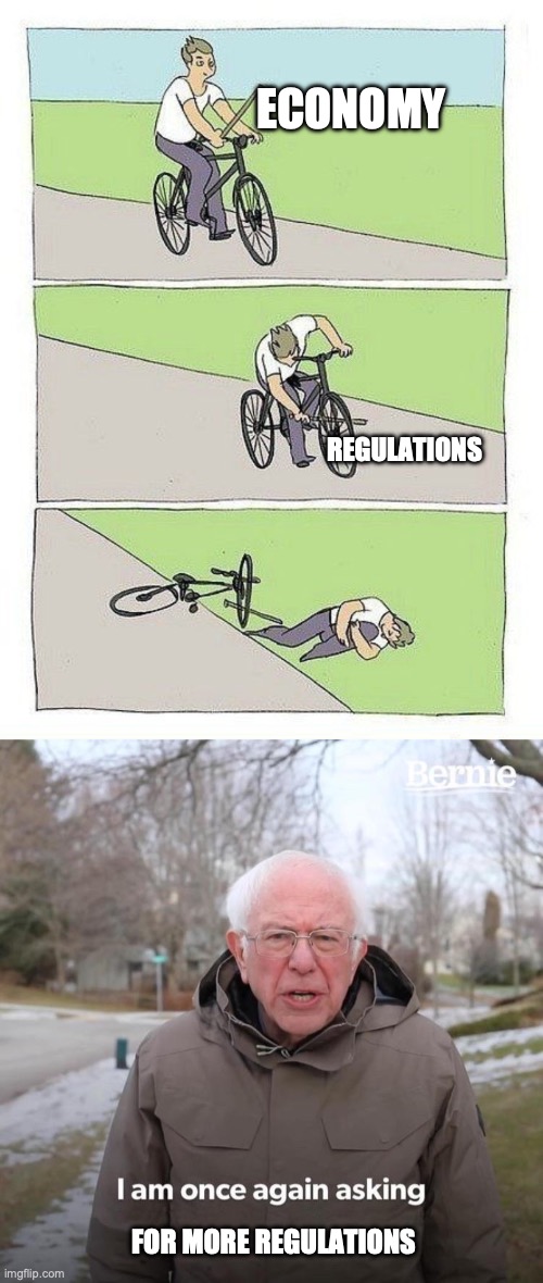 ECONOMY; REGULATIONS; FOR MORE REGULATIONS | image tagged in bycicle,memes,bernie i am once again asking for your support | made w/ Imgflip meme maker