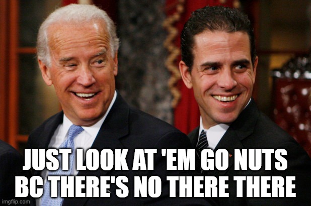 no thing burger... | JUST LOOK AT 'EM GO NUTS BC THERE'S NO THERE THERE | image tagged in hunter biden crack head,big,nothing burger | made w/ Imgflip meme maker