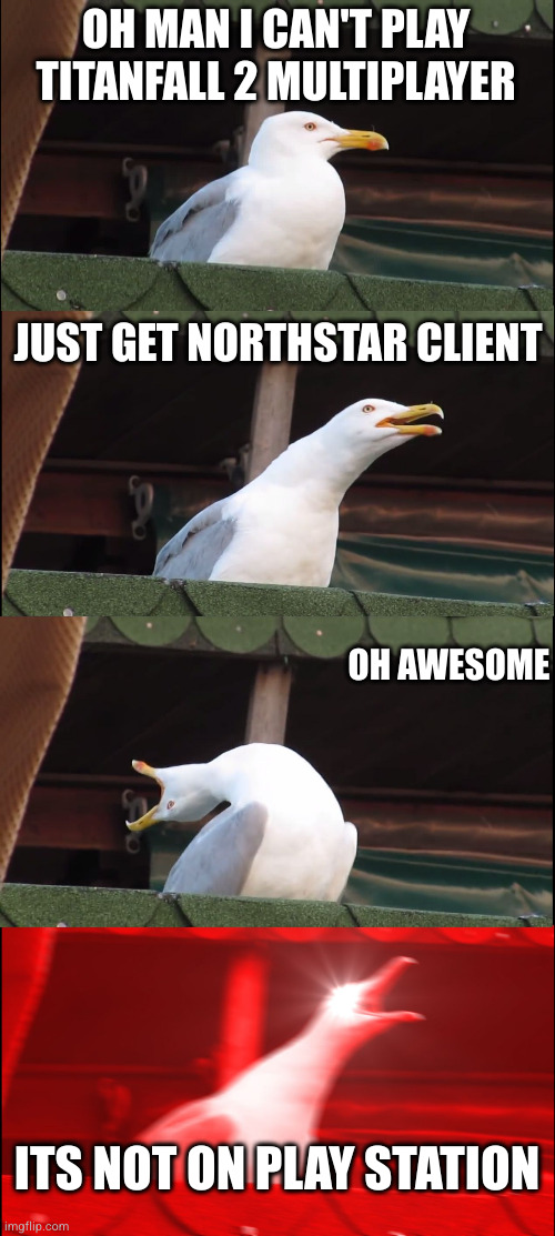 no titanfall 2 servers? | OH MAN I CAN'T PLAY TITANFALL 2 MULTIPLAYER; JUST GET NORTHSTAR CLIENT; OH AWESOME; ITS NOT ON PLAY STATION | image tagged in memes,inhaling seagull | made w/ Imgflip meme maker
