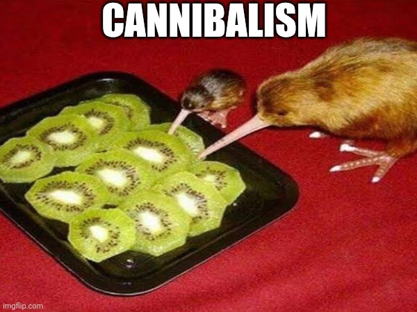 nooo don't ate kiwi, wait which one? | CANNIBALISM | image tagged in kiwi,fun | made w/ Imgflip meme maker