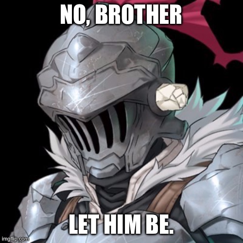 Goblin Slayer | NO, BROTHER LET HIM BE. | image tagged in goblin slayer | made w/ Imgflip meme maker