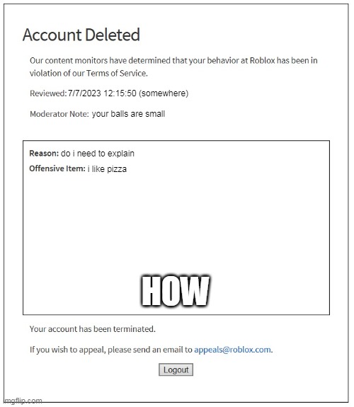 realistic ban | 7/7/2023 12:15:50 (somewhere); your balls are small; i like pizza; do i need to explain; HOW | image tagged in banned from roblox | made w/ Imgflip meme maker