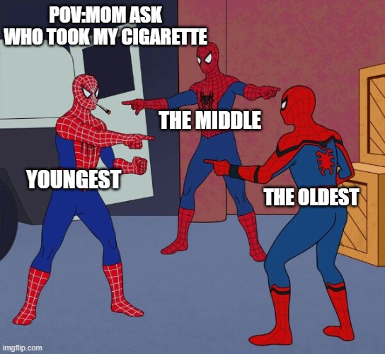 the cigarette | POV:MOM ASK WHO TOOK MY CIGARETTE; THE MIDDLE; YOUNGEST; THE OLDEST | image tagged in spider man triple | made w/ Imgflip meme maker
