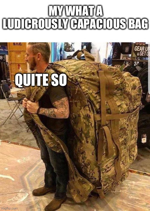 Bro workin a little to hard | MY WHAT A LUDICROUSLY CAPACIOUS BAG; QUITE SO | image tagged in bugout bag | made w/ Imgflip meme maker