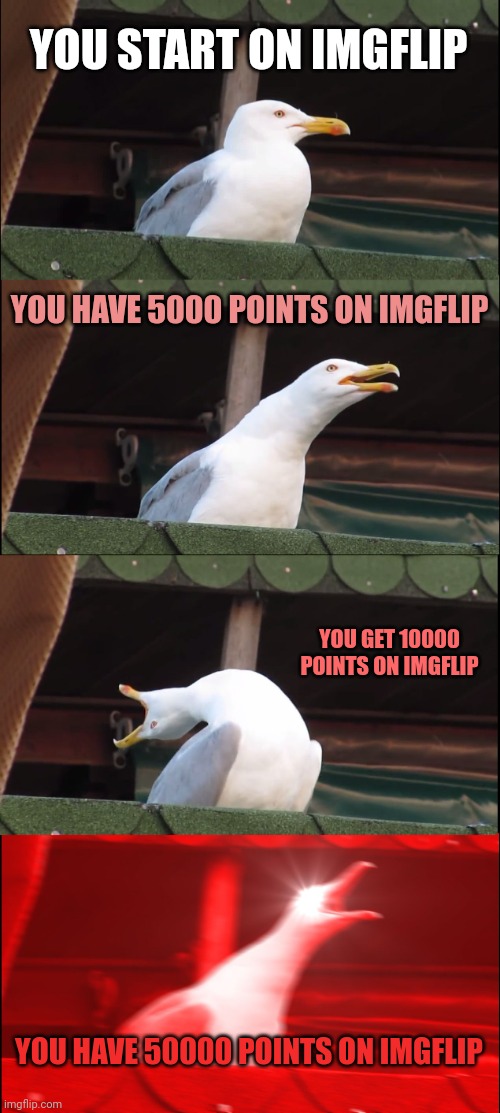 M E M E | YOU START ON IMGFLIP; YOU HAVE 5000 POINTS ON IMGFLIP; YOU GET 10000 POINTS ON IMGFLIP; YOU HAVE 50000 POINTS ON IMGFLIP | image tagged in memes,inhaling seagull,imgflip points | made w/ Imgflip meme maker