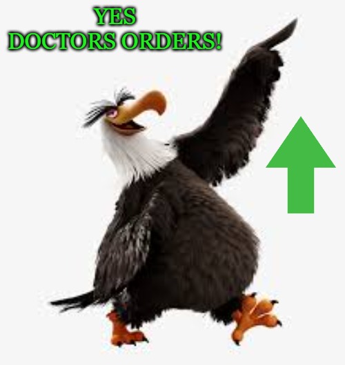 angry birds eagle | YES DOCTORS ORDERS! | image tagged in angry birds eagle | made w/ Imgflip meme maker