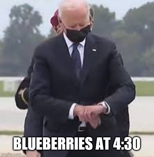 BLUEBERRIES AT 4:30 | made w/ Imgflip meme maker