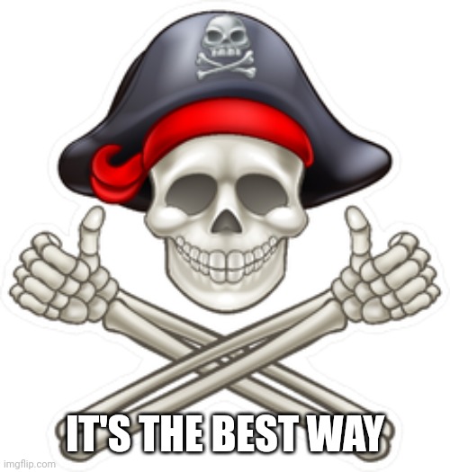 thumbs up pirate | IT'S THE BEST WAY | image tagged in thumbs up pirate | made w/ Imgflip meme maker