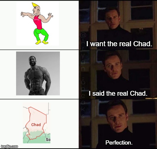 show me the real | I want the real Chad. I said the real Chad. Perfection. | image tagged in show me the real | made w/ Imgflip meme maker