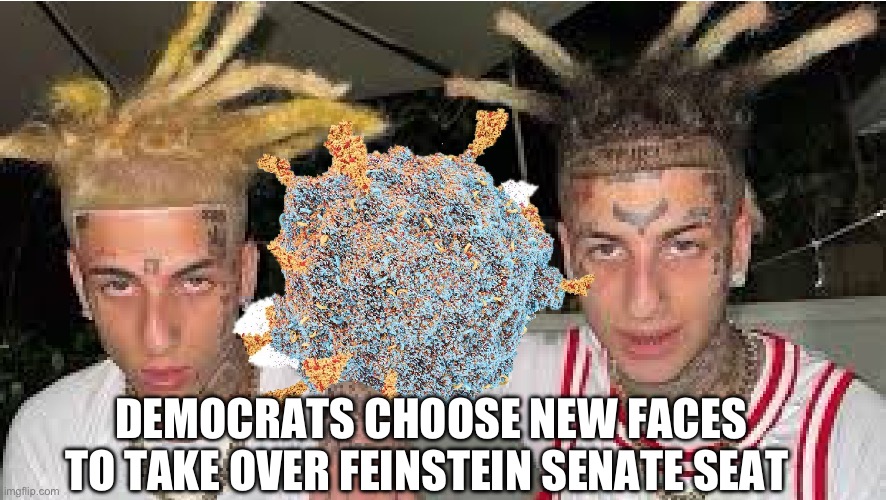 Island boys take. Senate seat | DEMOCRATS CHOOSE NEW FACES TO TAKE OVER FEINSTEIN SENATE SEAT | image tagged in omicron island boys,memes,funny | made w/ Imgflip meme maker