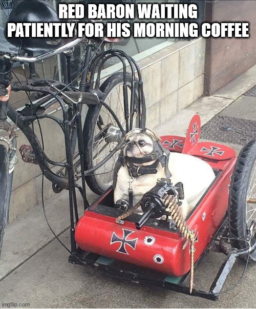 RED BARON WAITING PATIENTLY FOR HIS MORNING COFFEE | image tagged in durl earl | made w/ Imgflip meme maker