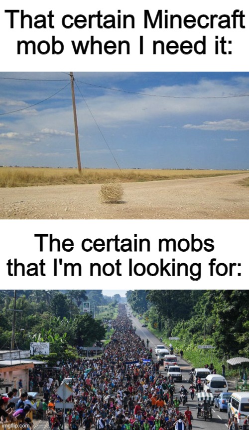 Where are they when they're needed... ;-; | That certain Minecraft mob when I need it:; The certain mobs that I'm not looking for: | image tagged in tumbleweed,illegal invasion | made w/ Imgflip meme maker