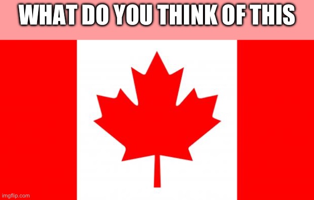 CANADA FLAG MEME | WHAT DO YOU THINK OF THIS | image tagged in canada flag meme | made w/ Imgflip meme maker