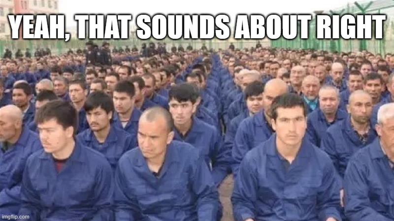 Uighur concentration camp | YEAH, THAT SOUNDS ABOUT RIGHT | image tagged in uighur concentration camp | made w/ Imgflip meme maker