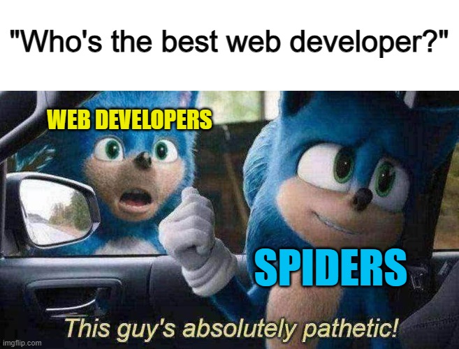 Get it? Since spiders make webs, as in a "web developer"... | "Who's the best web developer?"; WEB DEVELOPERS; SPIDERS | made w/ Imgflip meme maker