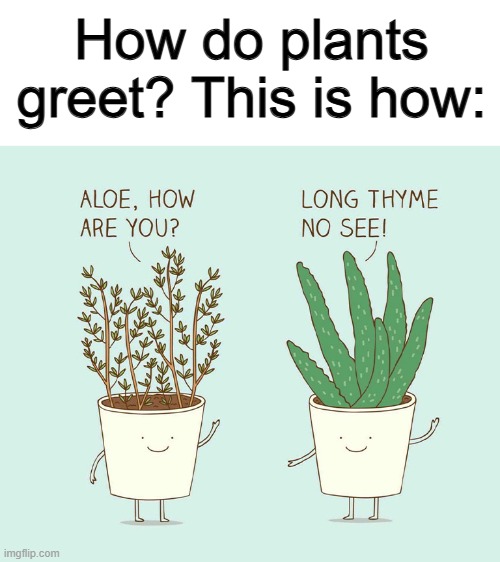 Why's no one laughing .-. | How do plants greet? This is how: | made w/ Imgflip meme maker