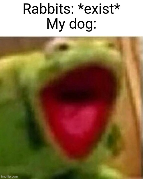 Relatable, ain't it? | Rabbits: *exist*
My dog: | image tagged in ahhhhhhhhhhhhh,memes,kermit the frog,relatable | made w/ Imgflip meme maker