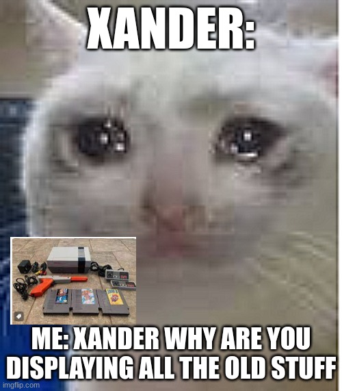 Sad | XANDER:; ME: XANDER WHY ARE YOU DISPLAYING ALL THE OLD STUFF | image tagged in sad cat | made w/ Imgflip meme maker