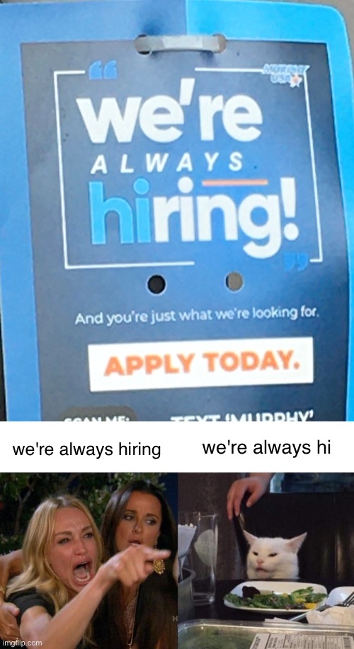 we're always hi; we're always hiring | image tagged in memes,woman yelling at cat,well yes but actually no | made w/ Imgflip meme maker