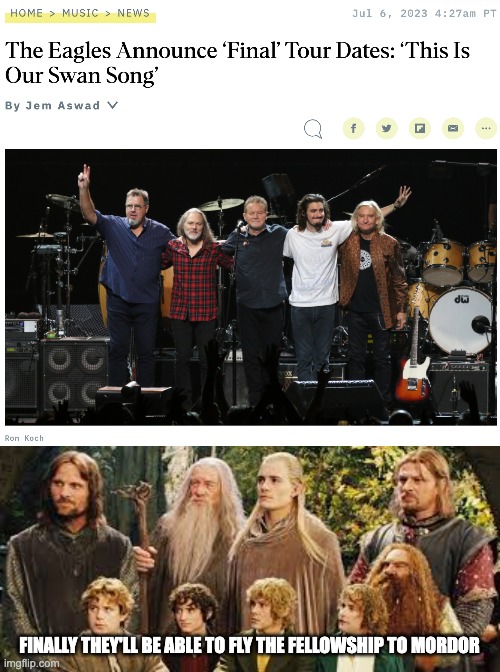 They're Taking The Eagles! | FINALLY THEY'LL BE ABLE TO FLY THE FELLOWSHIP TO MORDOR | image tagged in the fellowship of the ring,lotr | made w/ Imgflip meme maker