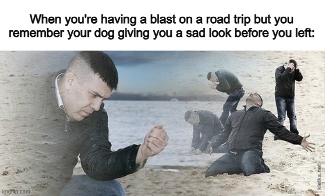 Now this trip is unenjoyable :< | When you're having a blast on a road trip but you remember your dog giving you a sad look before you left: | image tagged in sad guy beach | made w/ Imgflip meme maker