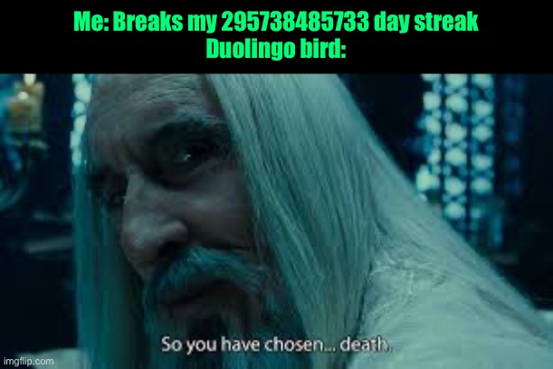 So you have chosen death | Me: Breaks my 295738485733 day streak
Duolingo bird: | image tagged in so you have chosen death | made w/ Imgflip meme maker