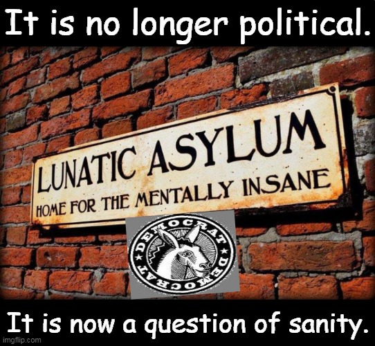 It may not be PC, but it is the TRUTH. | It is no longer political. It is now a question of sanity. | image tagged in politics,democrat party,insane,insanity,lunatic,asylum | made w/ Imgflip meme maker