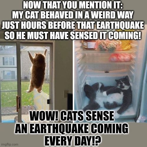 This #lolcat wonders why people only notice strange behaviour in animals áfter an earthquake | NOW THAT YOU MENTION IT:
MY CAT BEHAVED IN A WEIRD WAY
JUST HOURS BEFORE THAT EARTHQUAKE
SO HE MUST HAVE SENSED IT COMING! WOW! CATS SENSE 
AN EARTHQUAKE COMING 
EVERY DAY!? | image tagged in lolcat,earthquake,strange,behaviour,think about it | made w/ Imgflip meme maker