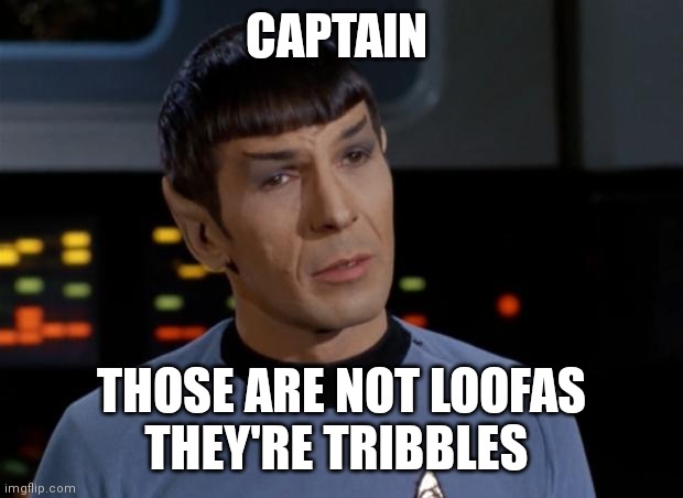 Spock Illogical | CAPTAIN THOSE ARE NOT LOOFAS
THEY'RE TRIBBLES | image tagged in spock illogical | made w/ Imgflip meme maker