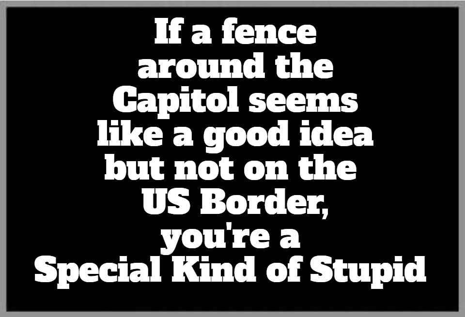 Democrats are a Special Kind of STUPID. | image tagged in democrats,special kind of stupid,full retard,never go full retard,full retard tropic thunder,mental illness | made w/ Imgflip meme maker