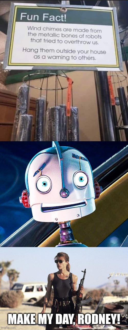 Robot, NObot! | MAKE MY DAY, RODNEY! | image tagged in sarah connor,robots,bones,wind,chimes,terminator | made w/ Imgflip meme maker