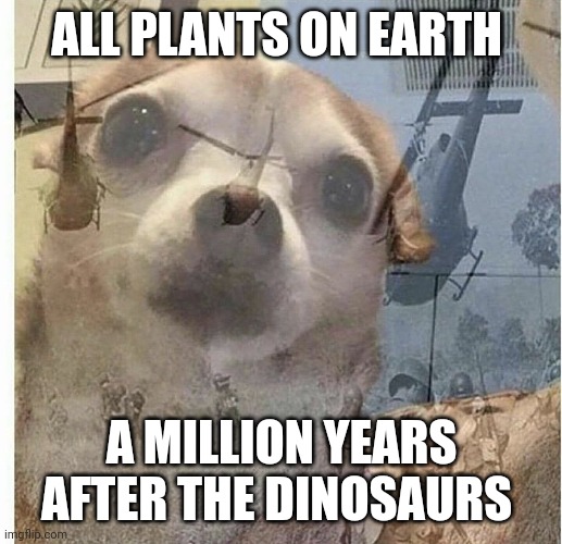 Plants got PTSD from the dinosaur extinction | ALL PLANTS ON EARTH; A MILLION YEARS AFTER THE DINOSAURS | image tagged in ptsd chihuahua | made w/ Imgflip meme maker