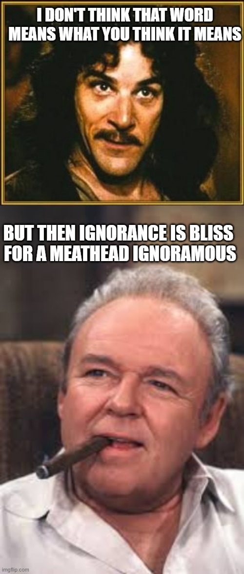 I DON'T THINK THAT WORD
MEANS WHAT YOU THINK IT MEANS BUT THEN IGNORANCE IS BLISS 
FOR A MEATHEAD IGNORAMOUS | image tagged in princess bride,archie bunker | made w/ Imgflip meme maker