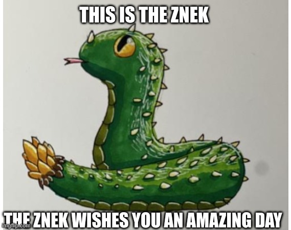 Znek | THIS IS THE ZNEK; THE ZNEK WISHES YOU AN AMAZING DAY | image tagged in snake,front page plz,znek,have an awesome day | made w/ Imgflip meme maker