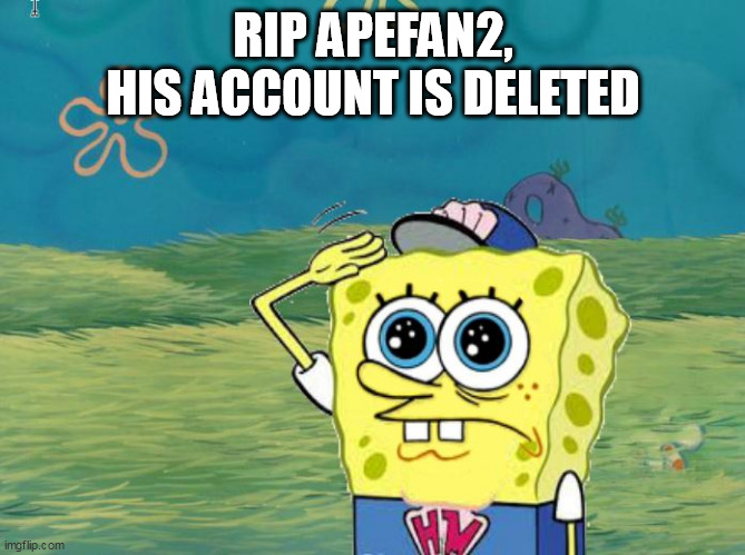 rip | RIP APEFAN2, HIS ACCOUNT IS DELETED | image tagged in spongebob salute,sad | made w/ Imgflip meme maker