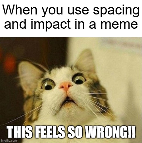Gaaaah!! | When you use spacing and impact in a meme; THIS FEELS SO WRONG!! | image tagged in memes,scared cat | made w/ Imgflip meme maker