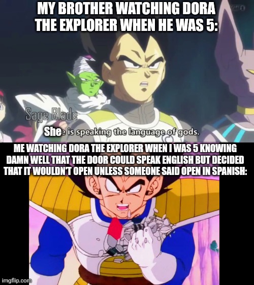 he is speaking the language of the gods | MY BROTHER WATCHING DORA THE EXPLORER WHEN HE WAS 5:; She; ME WATCHING DORA THE EXPLORER WHEN I WAS 5 KNOWING DAMN WELL THAT THE DOOR COULD SPEAK ENGLISH BUT DECIDED THAT IT WOULDN'T OPEN UNLESS SOMEONE SAID OPEN IN SPANISH: | image tagged in he is speaking the language of the gods | made w/ Imgflip meme maker